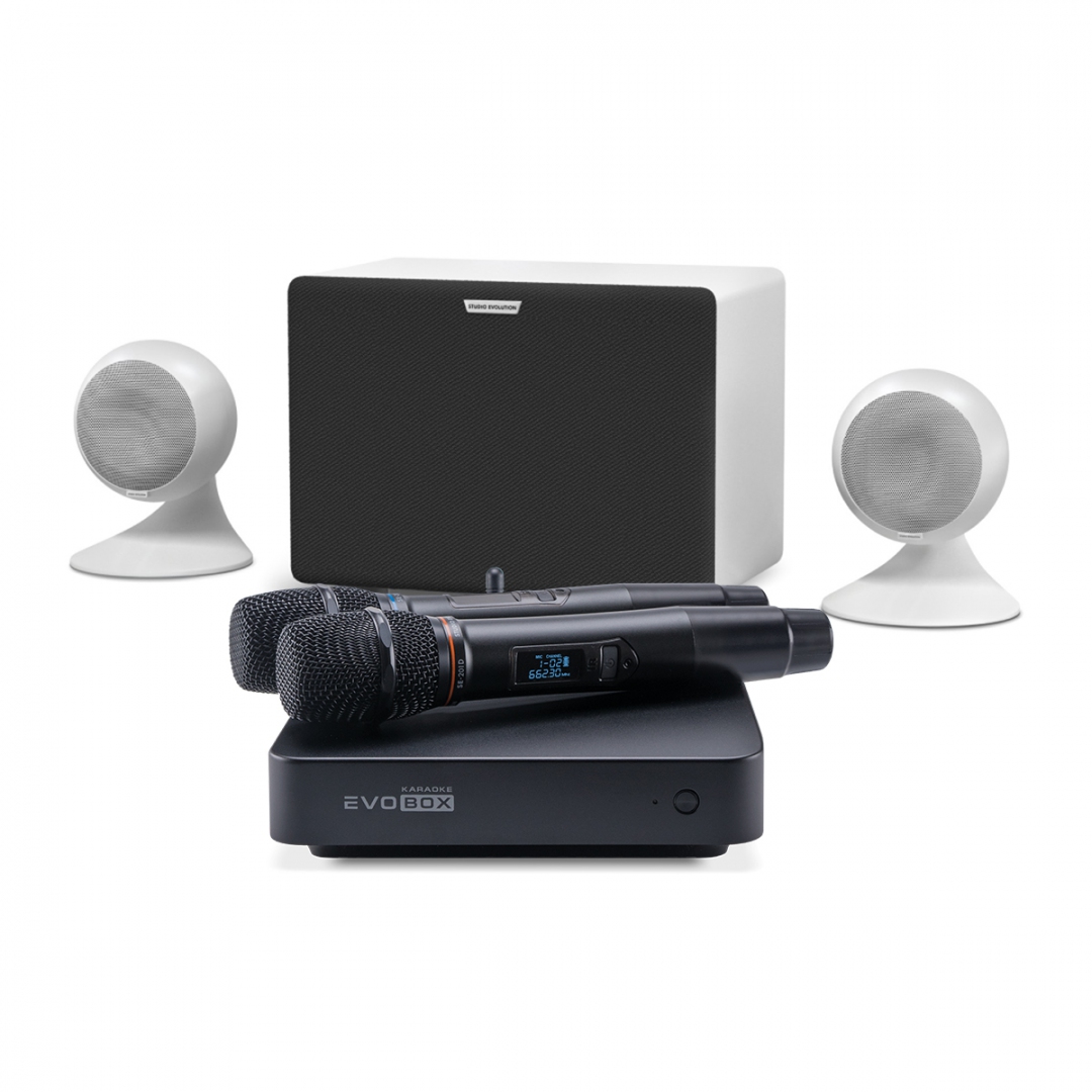 караоке-комплект EVOBOX Classic + EvoSound Sphere 2.1 в Когалыме
