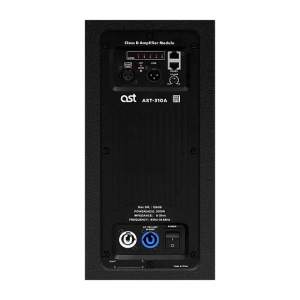Активная акустическая система AST-310A в Когалыме